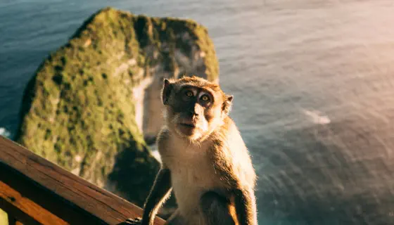 Bali trip
